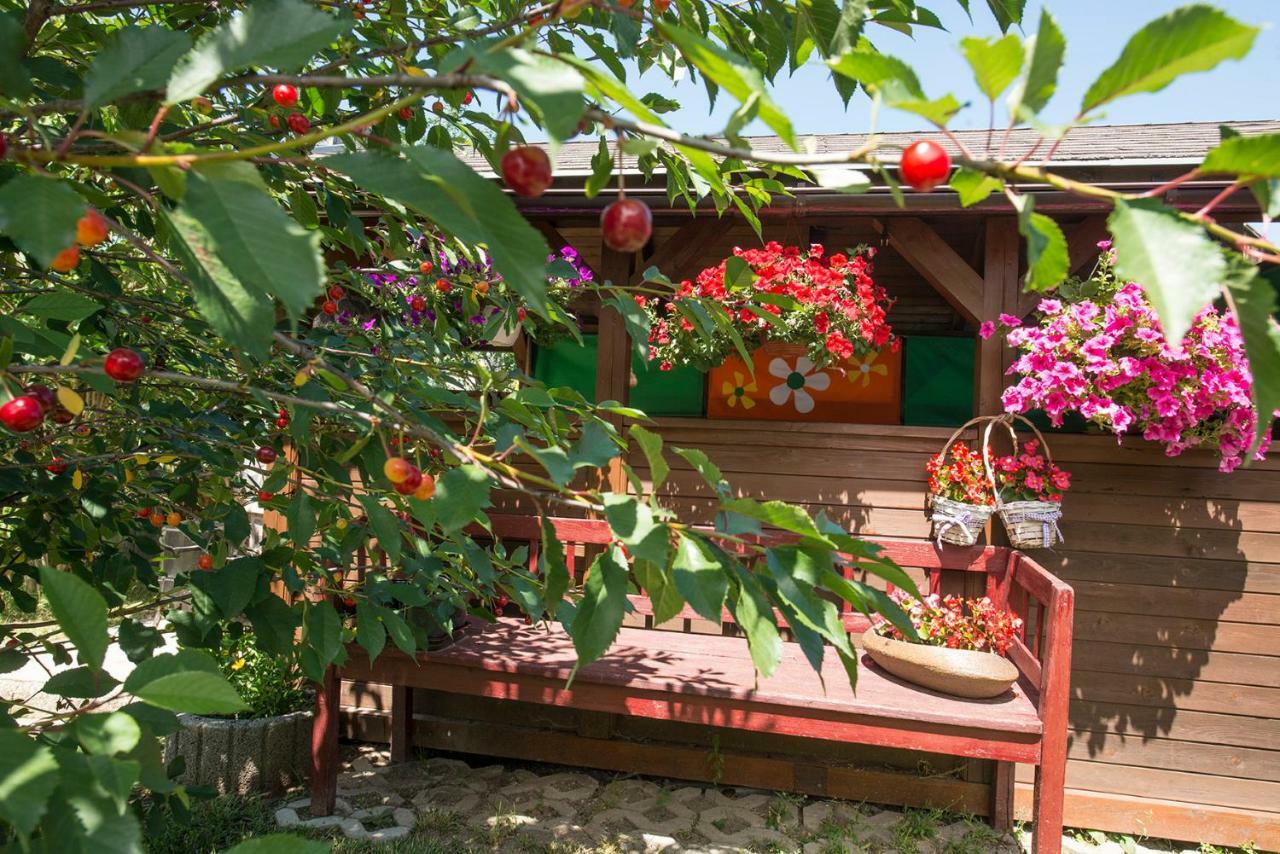 Privat Jonas Villa Strba Luaran gambar